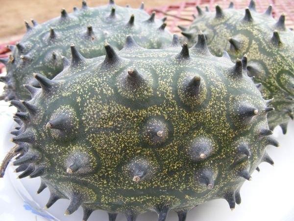 African Cucumber